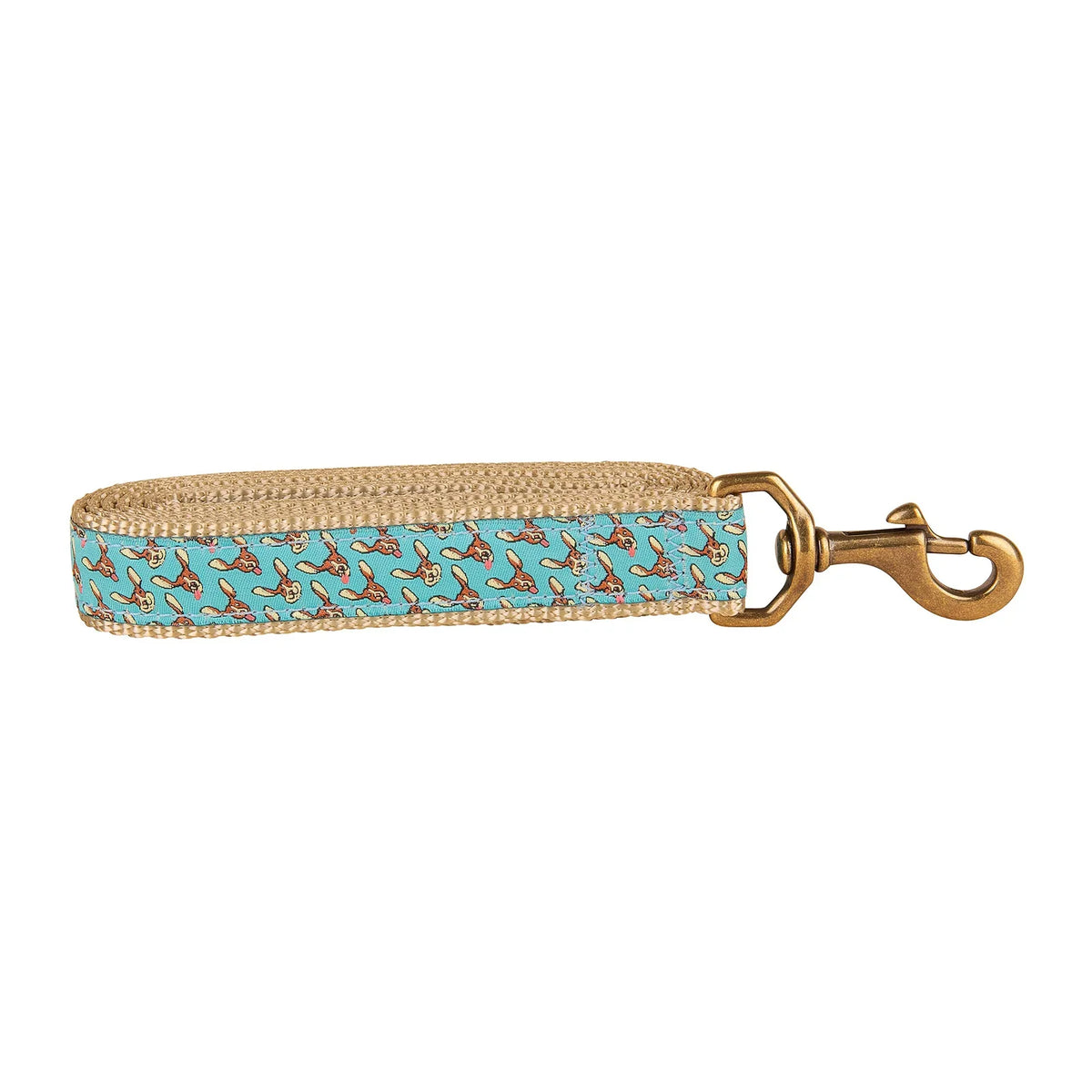 Leashes